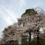 天ぷら割烹 嵯峨野 (ホテル日航プリンセス京都) - 