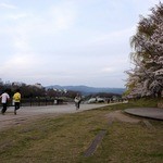 天ぷら割烹 嵯峨野 (ホテル日航プリンセス京都) - 