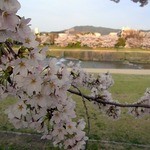 天ぷら割烹 嵯峨野 (ホテル日航プリンセス京都) - 