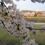 天ぷら割烹　嵯峨野 - 