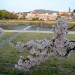 天ぷら割烹　嵯峨野 - 