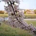 天ぷら割烹　嵯峨野 - 