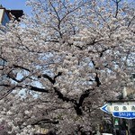 天ぷら割烹 嵯峨野 (ホテル日航プリンセス京都) - 