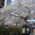 天ぷら割烹 嵯峨野 (ホテル日航プリンセス京都) - 