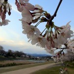 天ぷら割烹 嵯峨野 (ホテル日航プリンセス京都) - 