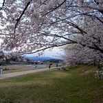 天ぷら割烹　嵯峨野 - 