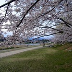 天ぷら割烹 嵯峨野 (ホテル日航プリンセス京都) - 