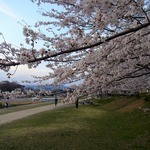 天ぷら割烹　嵯峨野 - 