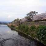 天ぷら割烹 嵯峨野 (ホテル日航プリンセス京都) - 