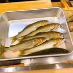 うを徳 - 高津川産　鮎