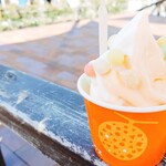 とみたメロンハウス - 