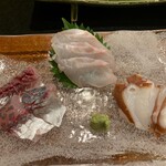 地魚料理・鮨 佐々木 - 網代の根付の真鰺、真鶴の久絵、網代の真蛸