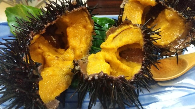 旅館 明海荘 - 最知（旅館・民宿）の写真