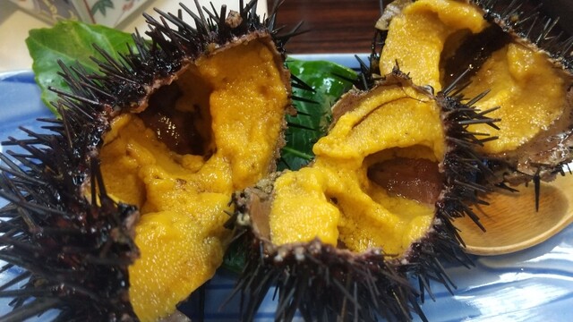 旅館 明海荘 &ndash; 最知｜気仙沼大島の海辺の宿