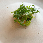 MAISON LAFITE - マイクロきゅうり、ロケットセルバチコのルッコラ、鮎のフリット、サバイヨンソース、デュクセル