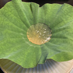 京都三条 箔 - 前菜　葉っぱ？？