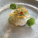 MAISON LAFITE - 玄界産のクエ、蕪