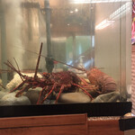 四季の味・奴 - 