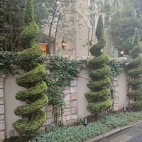 ソンブルイユ TOKYO - 