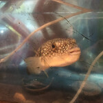 四季の味・奴 - 