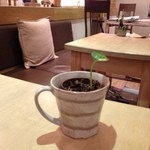 ロンカフェ ルインズ ダイニング - 