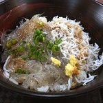 田子の浦港 漁協食堂 - ハーフ丼