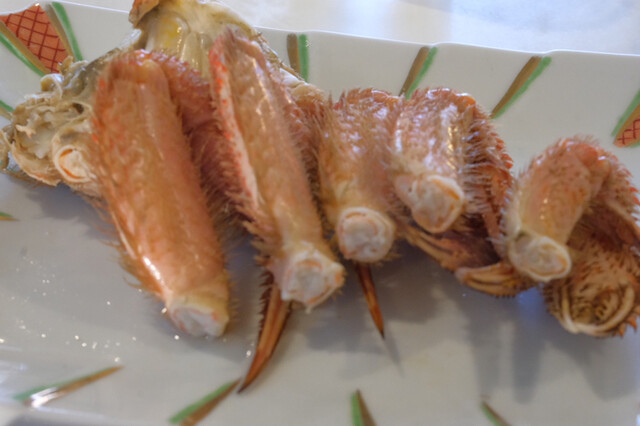 Hotel Toyotomi photo 3