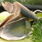 若葉鮨 - 輝く小肌