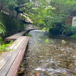 うなぎ 桜家 - すぐ横を流れる源兵衛川。
      市内の川とは思えない透明度。だから鰻が旨いんです。