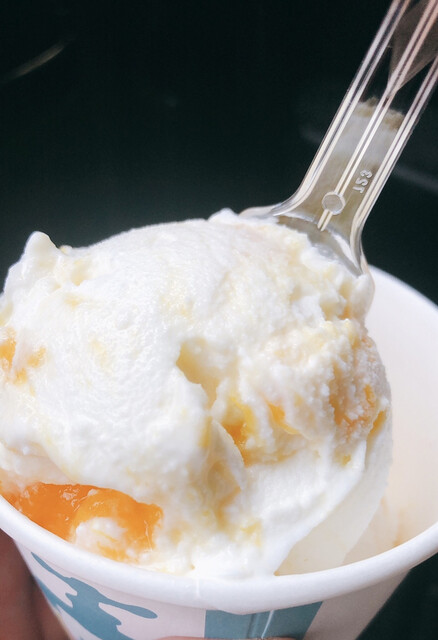 Gela319（ジェラサンイチキュウ） - 藤田（ジェラート・アイスクリーム）の写真