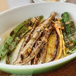 フォリオリーナ・デッラ・ポルタ・フォルトゥーナ - 