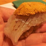 照寿司 - 槍烏賊