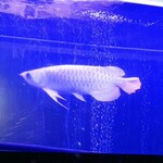 焼肉 拍手喝采 - 