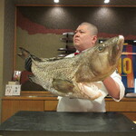 照寿司 - 25kgのクエを持ち上げての三代目撮影タイム