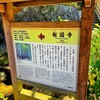 休耕庵 竹の庭の茶席