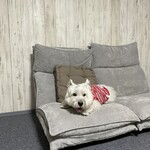 ダイニングキッチン アオヤマ - 