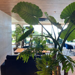 Restaurant HoKuLaNi - 