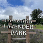 Tambara Lavender Park - たんばらラベンダーパーク