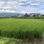 キュイエット - 