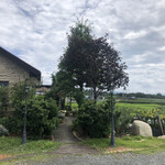 キュイエット - 