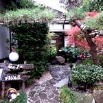 ブラジル屋 - 喫茶室へはお店の脇から！(2013,03/31)