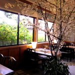 ブラジル屋 - 店内にも桜！(2013,03/31)