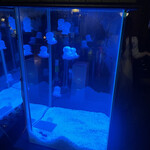 NEO SHOT BAR　深海の洞窟 - 