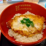 かつさと - 料理写真: