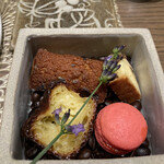 カジュアルフレンチ　アミー - 