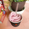 須賀谷温泉 - 料理写真:ぶどうソフトクリーム（巨峰ジェラート？）300円