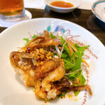 China Ume no Hana Kurume Ten - 