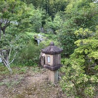 洋食 つばき - 