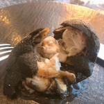 メゾン フジヤ ハコダテ - 