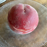 Terroir愛と胃袋 - 